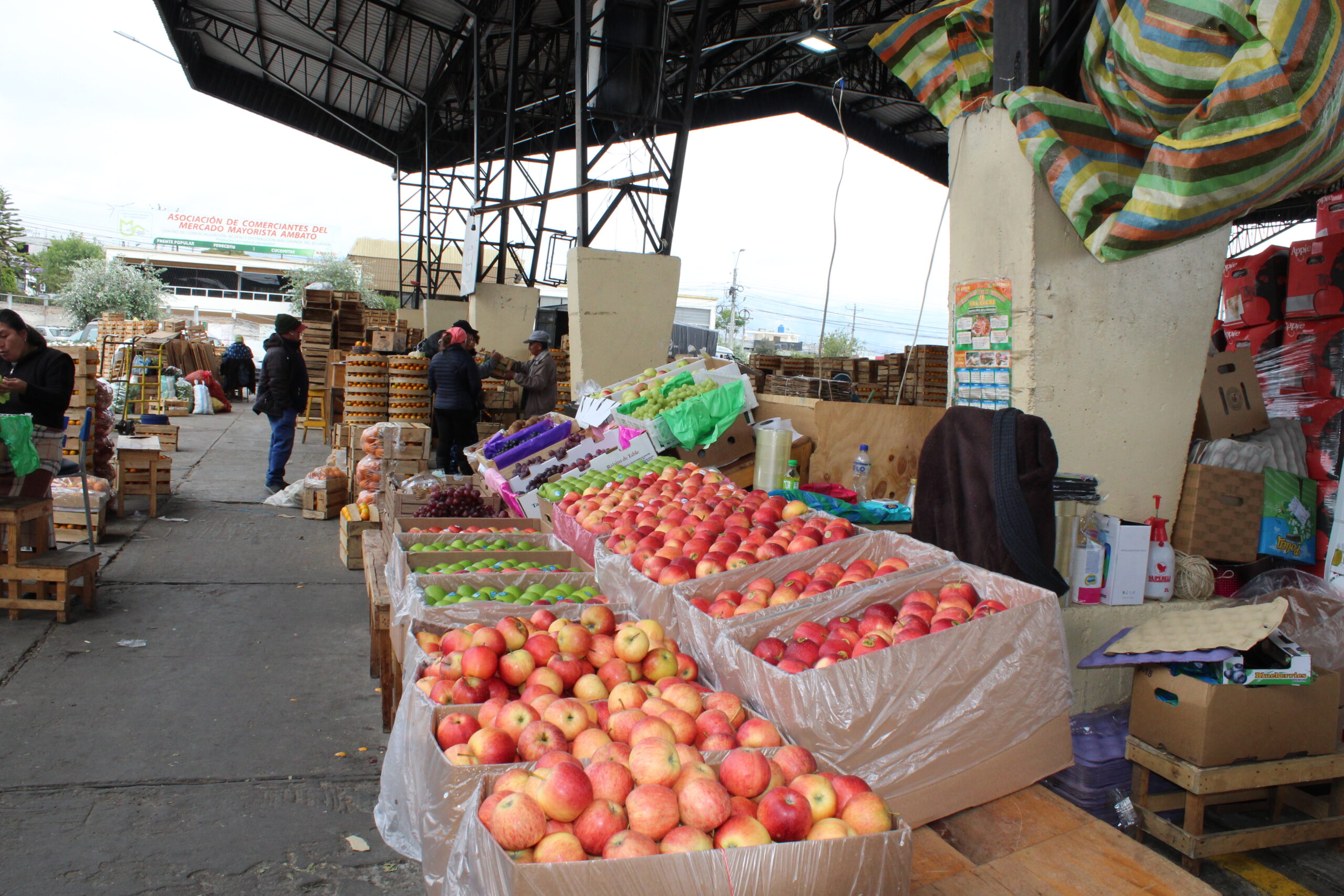 Frutas Mercado Mayorista